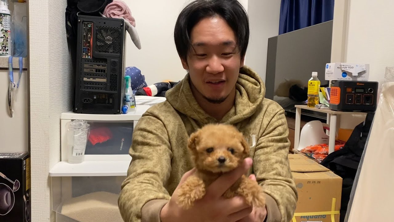 新メンバーが入りました