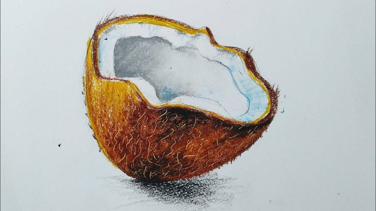How to draw a coconut with oil pastel color step by step for beginners