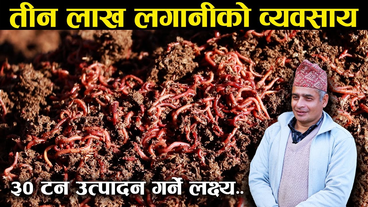 तीन लाख लगानीमा गँड्यौलापालन - Earthworm farming under the open sky