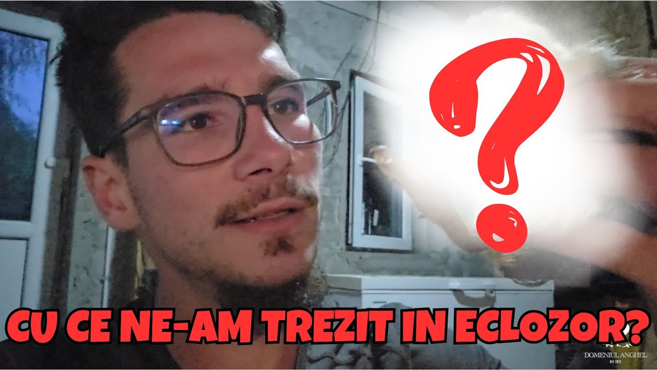 AVEM SURPRIZE LA PORUMBEI