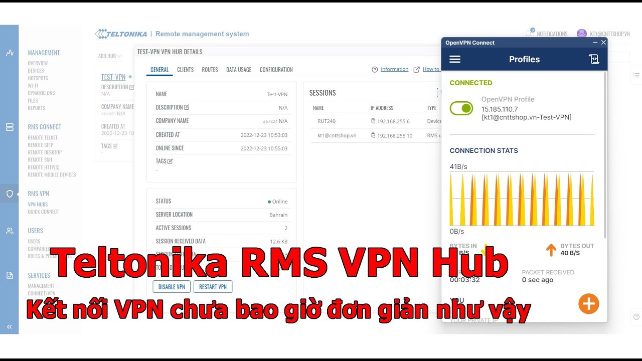 Hướng dẫn cấu h&igrave;nh Teltonika RMS VPN Hub tr&ecirc;n RMS Cloud