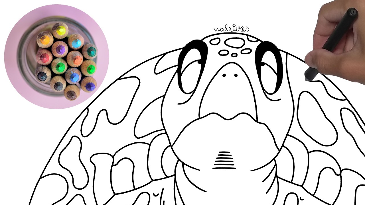 Como desenhar Tartaruga de Dragon Ball simples e bem rápido passo a passo