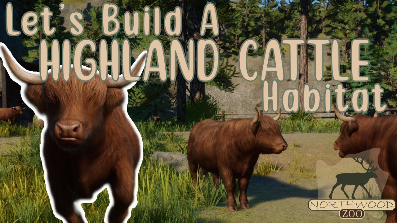 Let's Build A Highland Cattle Habitat! | Ep 6 of Northwood Zoo | Speed Build | No Commentary