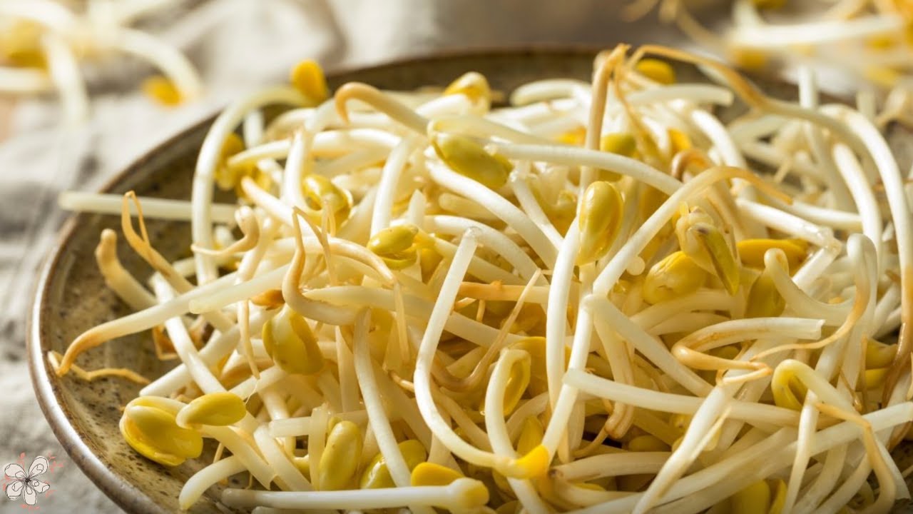 🥗Descubre cómo hacer una ensalada de brotes de soja en 10 minutos