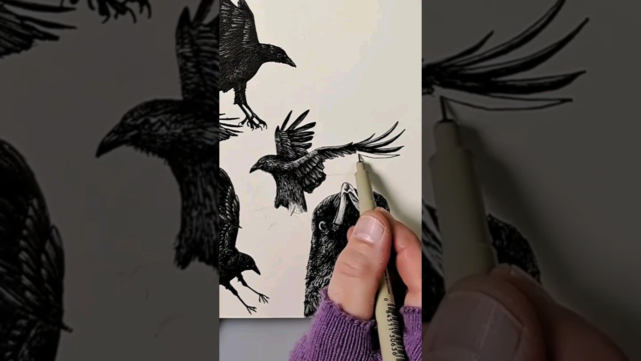 #drawing #sketch #crow #art