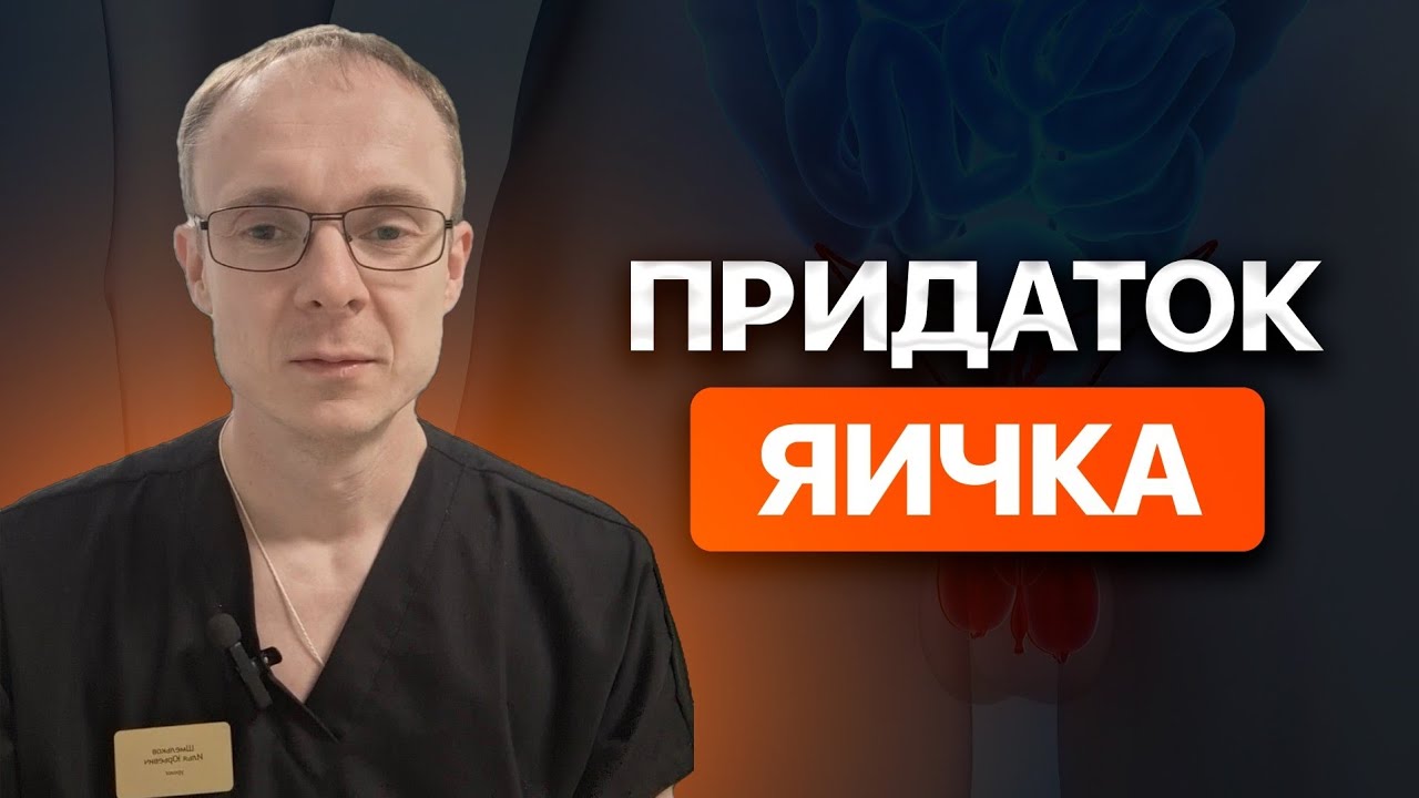 Придаток яичка у мужчин. Врач уролог-андролог. Москва.