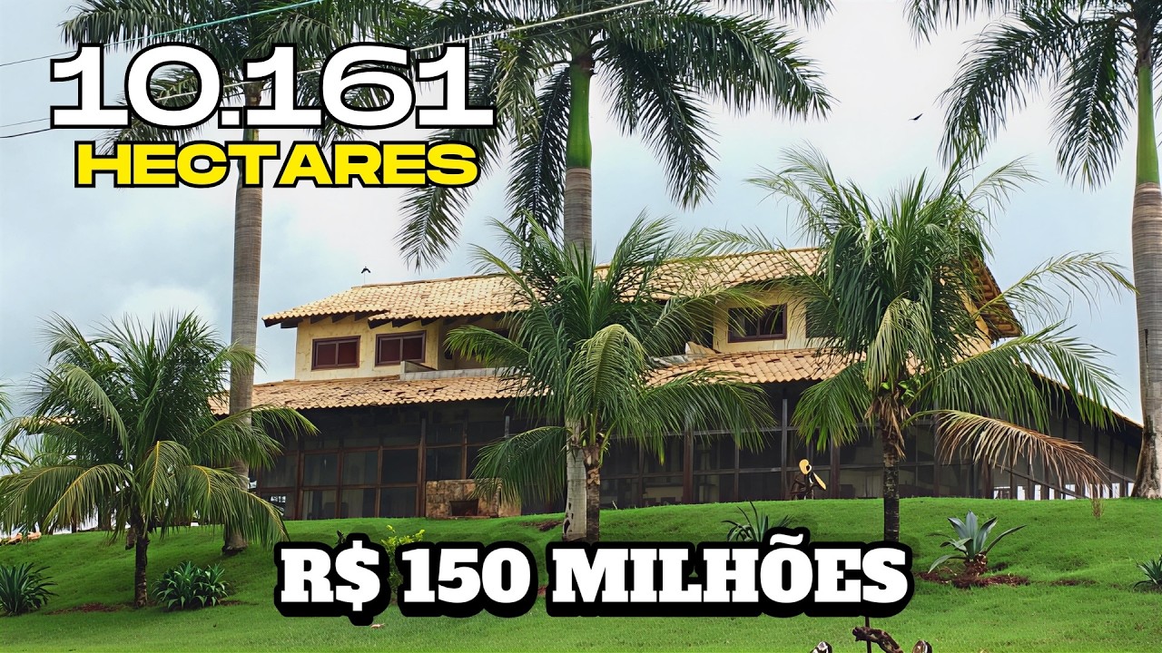 Ativo Rural de Grande Escala no Pará | 10.161 ha | Pecuária Estruturada