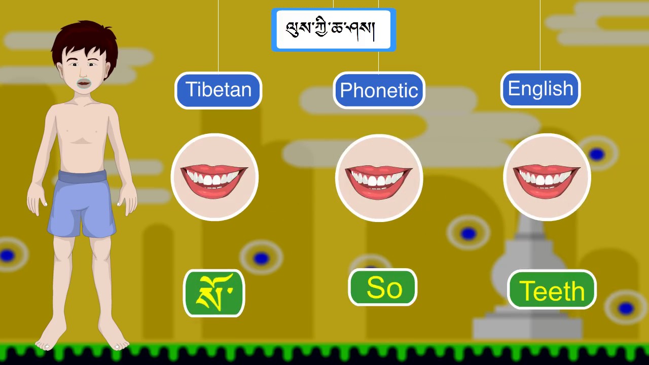 Parts of body in Tibetan