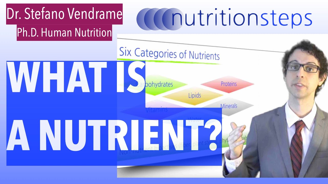 What is a nutrient?