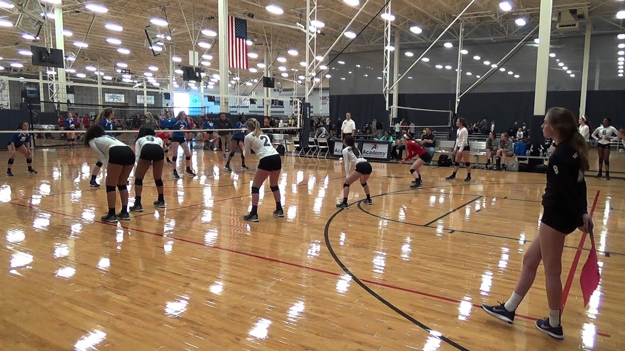 Annabelle Archer #17 Setter 16 Royal vs TAV 16 Black Set 2 Feb  2016