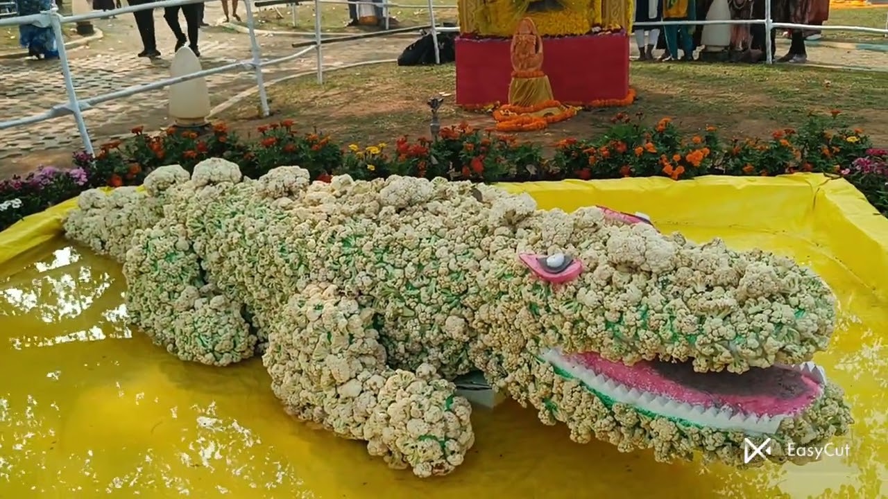Visakha utsav -2026💫💫✨✨ wow!!! superb 👌👌👌💫💫💫✨✨✨ we love vizag 