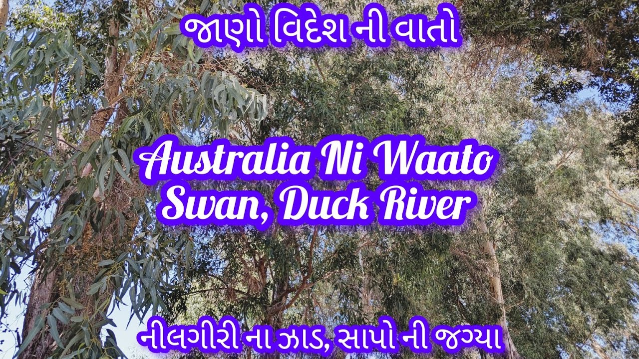 Australia Swan River 🇦🇺👌આજ જગ્યા ની આજુબાજુ રહેતા છતાં નતા જ જાણતાં કે આ રિવર સ્વાન ને ગાર્ડન બસ પછી