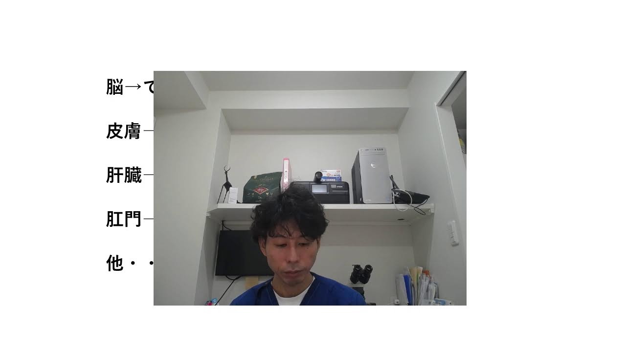 Консультация по питанию собак и кошек / 106-я статья / Синдром повышенной кишечной проницаемости ...