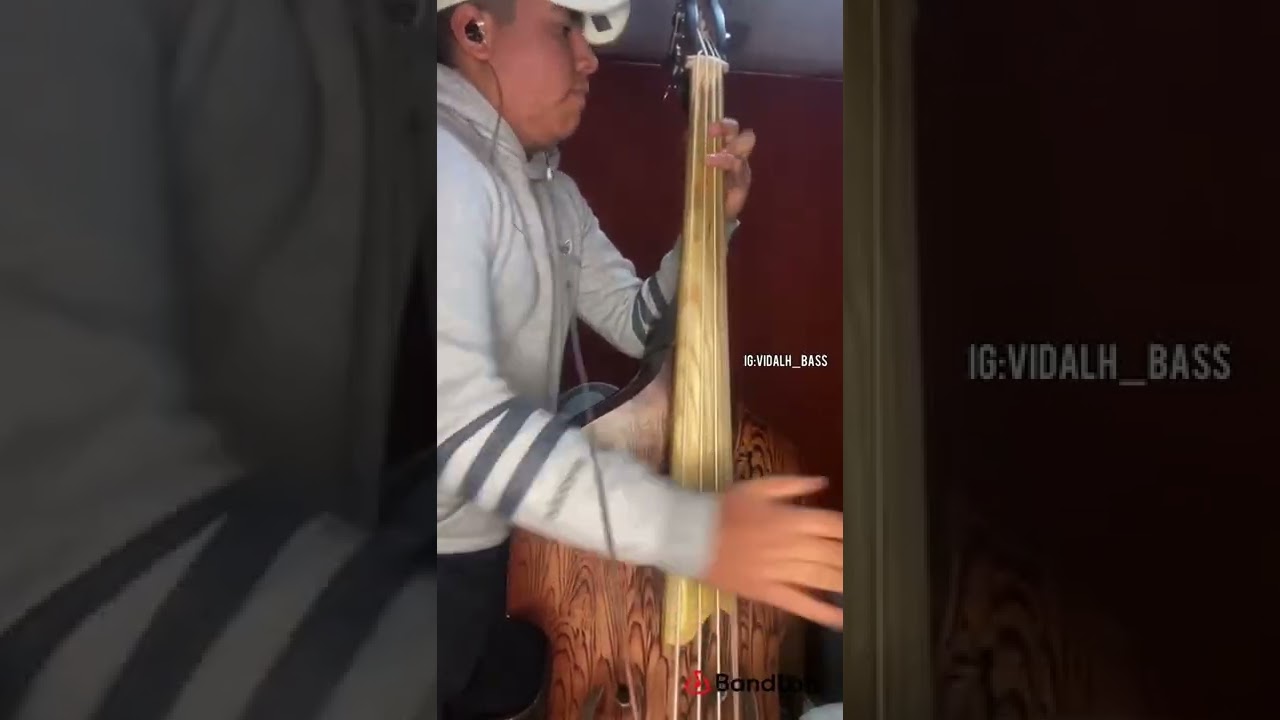 AMG 🤯tololoche cover