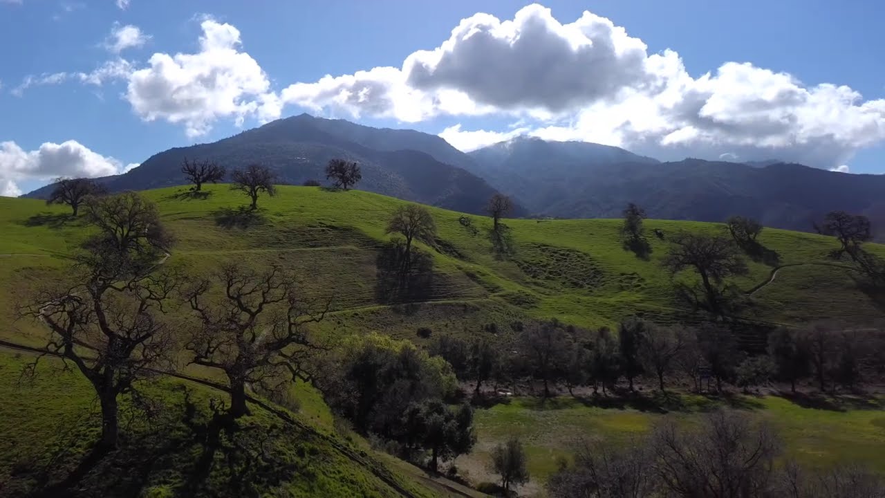 CLAYTON COMMUNITY PARK  20260212