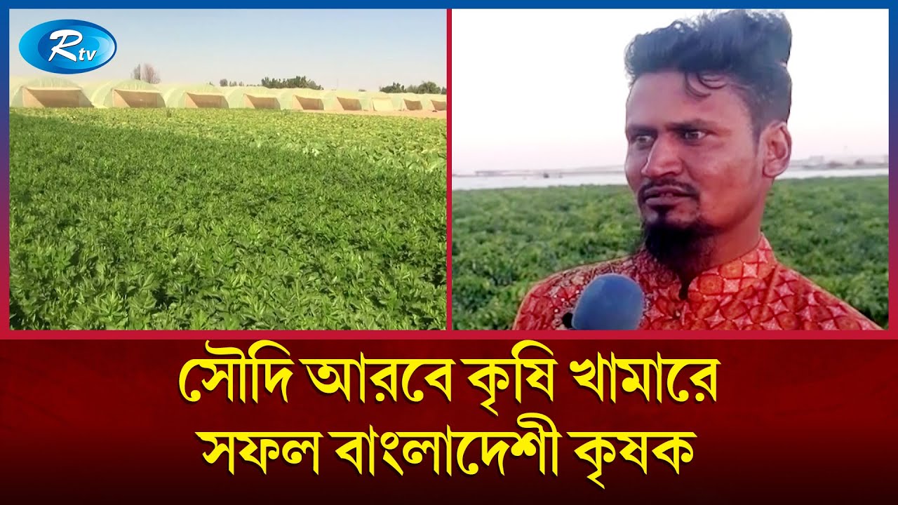 সৌদি আরবে কৃষি খামার করে স্বাবলম্বী লক্ষীপুরের মোস্তফা গাজী | Saudi Arabia | Rtv News