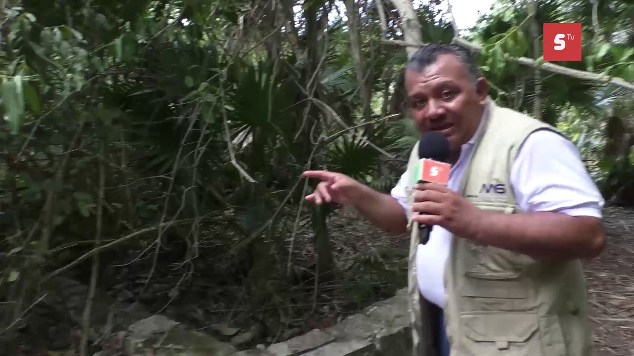 La casa de Echeverría, hogar de cocodrilos y otras especies silvestres