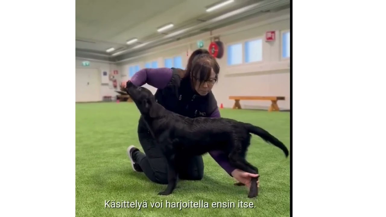 JOULUKALENTERIN LUUKKU 9🎄