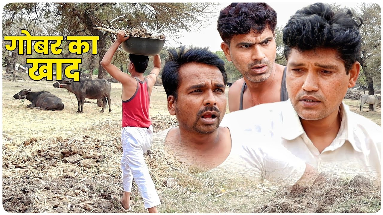 Cow Dung Manure || Fun Series