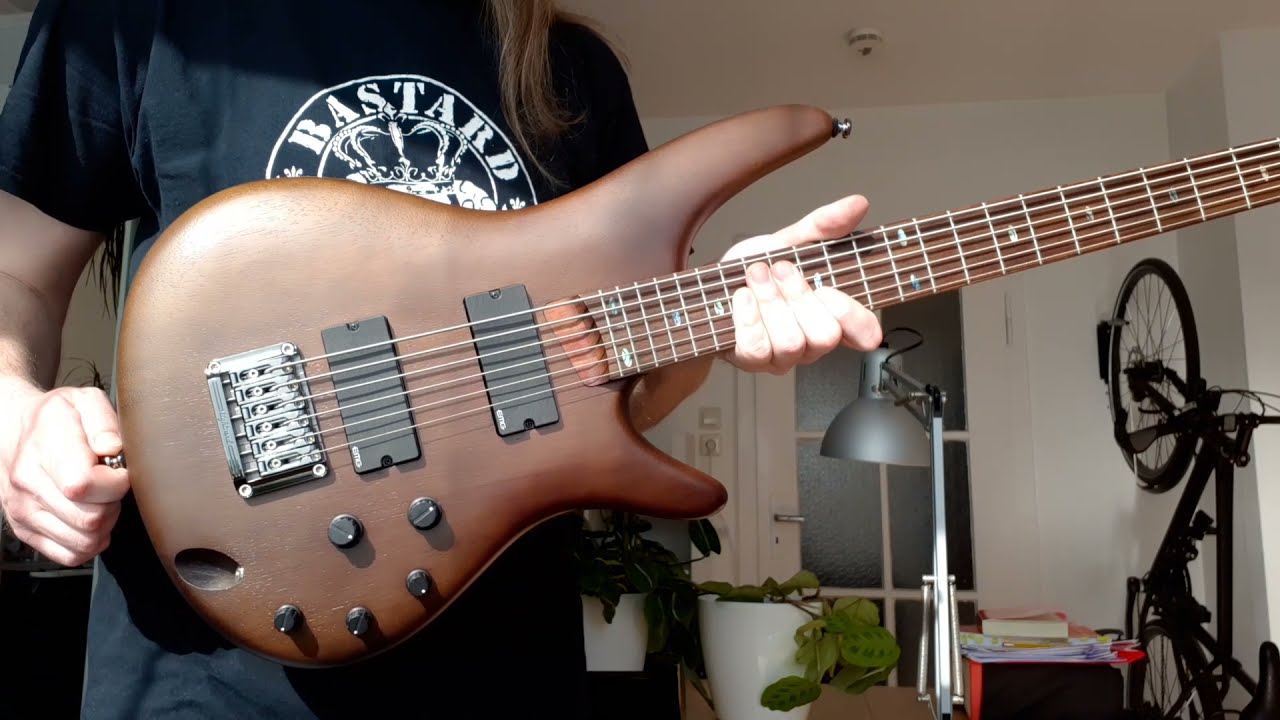 IBANEZ SRC6 WNF 30