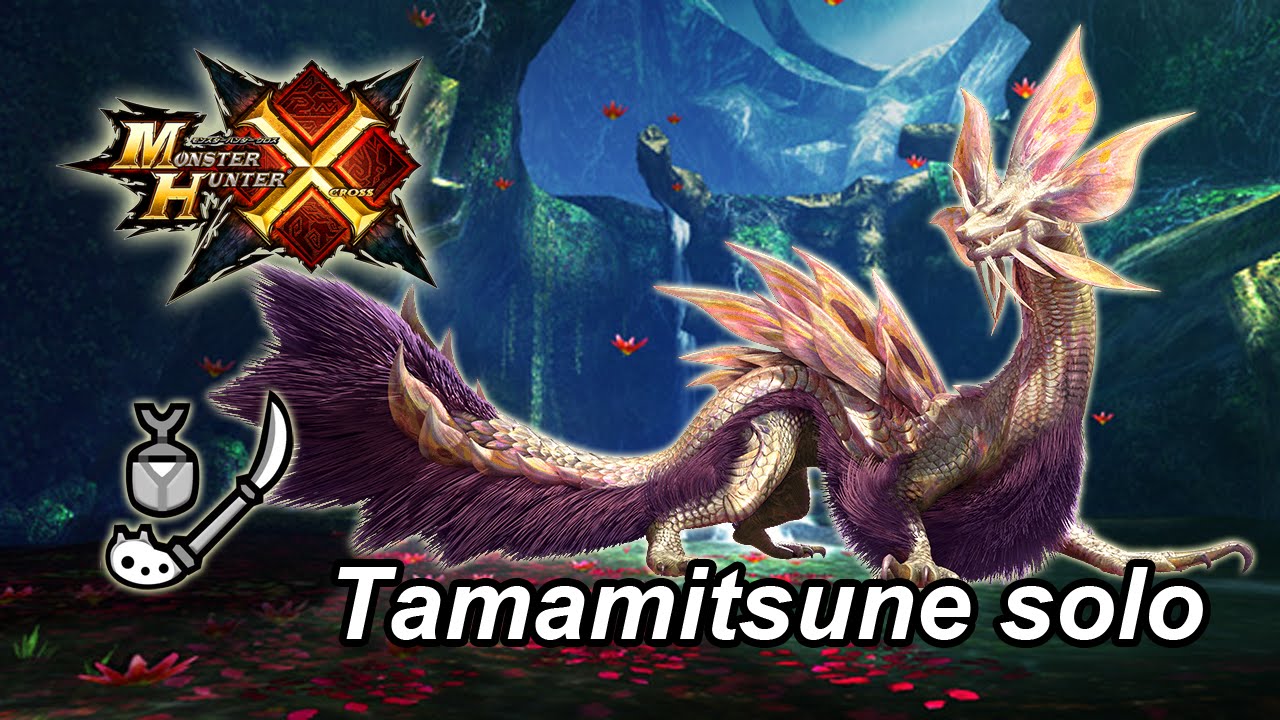 [MHX] 6★ Highrank Tamamitsune solo (Insect Glaive) | 集会所 6★ タマミツネ ソロ 操虫棍 - 4'05''65