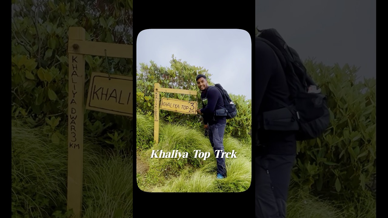 Khaliya Top trek munsiyari for begginers!