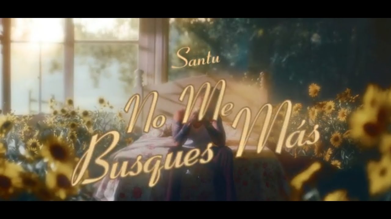 NO ME BUSQUES MÁS - SANTU (OBRA #13)