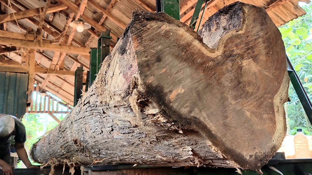 Sawing the longest unique tree at the sawmill 