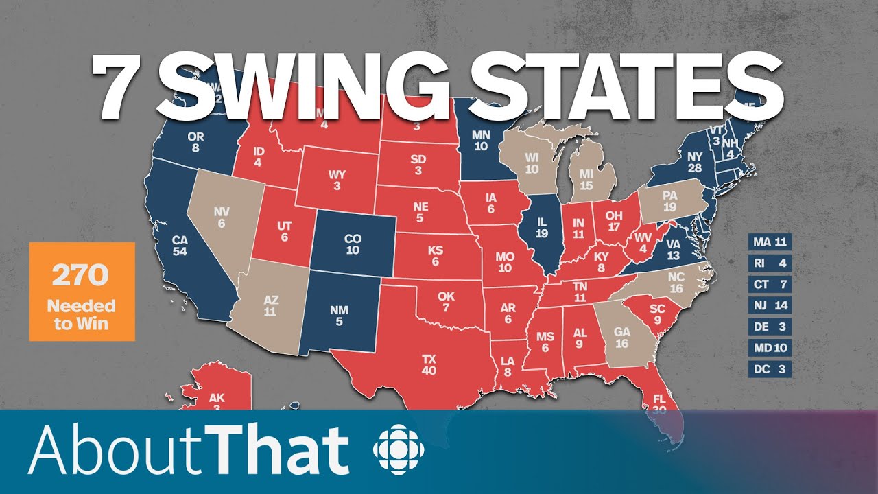 Why 0.008% of the U.S. population might determine the election | About That