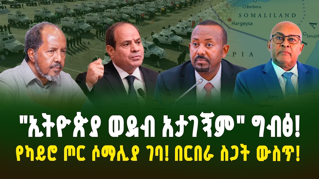 የኢትዮጵያ የወደብ ጥያቄ በአፍሪካ ህብረት! የበርበራ ወደብ በጦርነት ስጋት ውስጥ? የካይሮ ድክላሬሽንና የሶማሊላንድ እጣ ፈንታ! | ገበያ ፖድካስት 