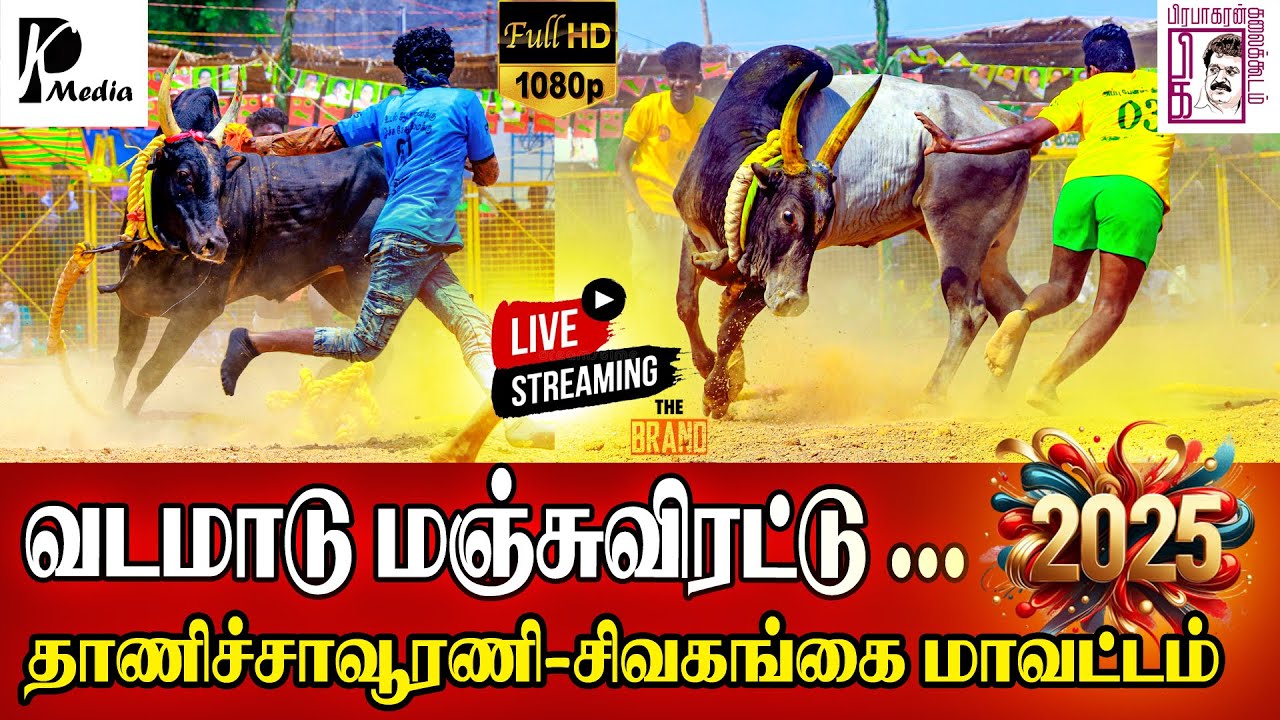 🔴 LIVE(நேரலை) | தாணிச்சாவூரணி வடமாடு மஞ்சுவிரட்டு | சிவகங்கை மாவட்டம் | PK Media