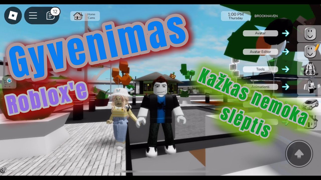 NEMUMU ŽAIDŽIA GYVENIMĄ | BROOKHAVEN ROBLOX | Kažkas nemoka slėptis