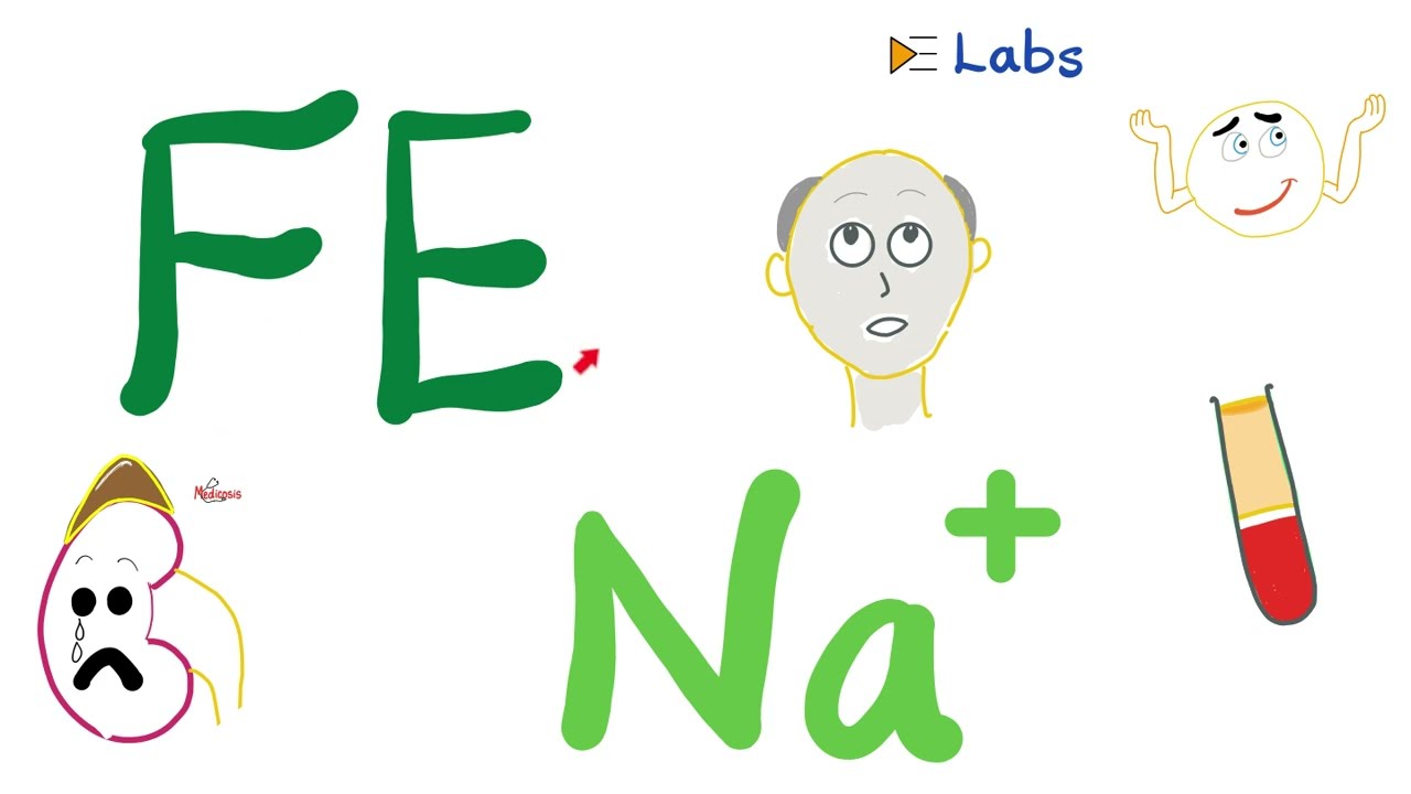 Frakcyjne wydalanie sodu (FENa) &ndash; badania czynności nerek &ndash; Laboratoria nefrologiczne