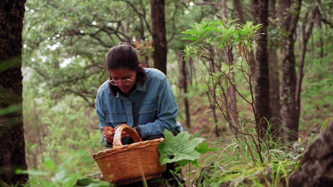Women collecting healthy and delicious wild food!