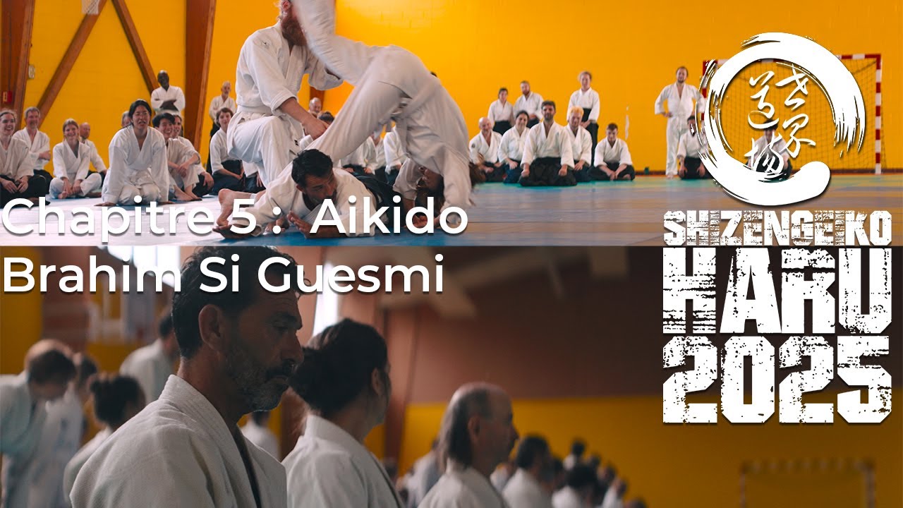 Shizengeiko Haru 2025 - Chapitre 5: Aikido par Brahim Si Guesmi