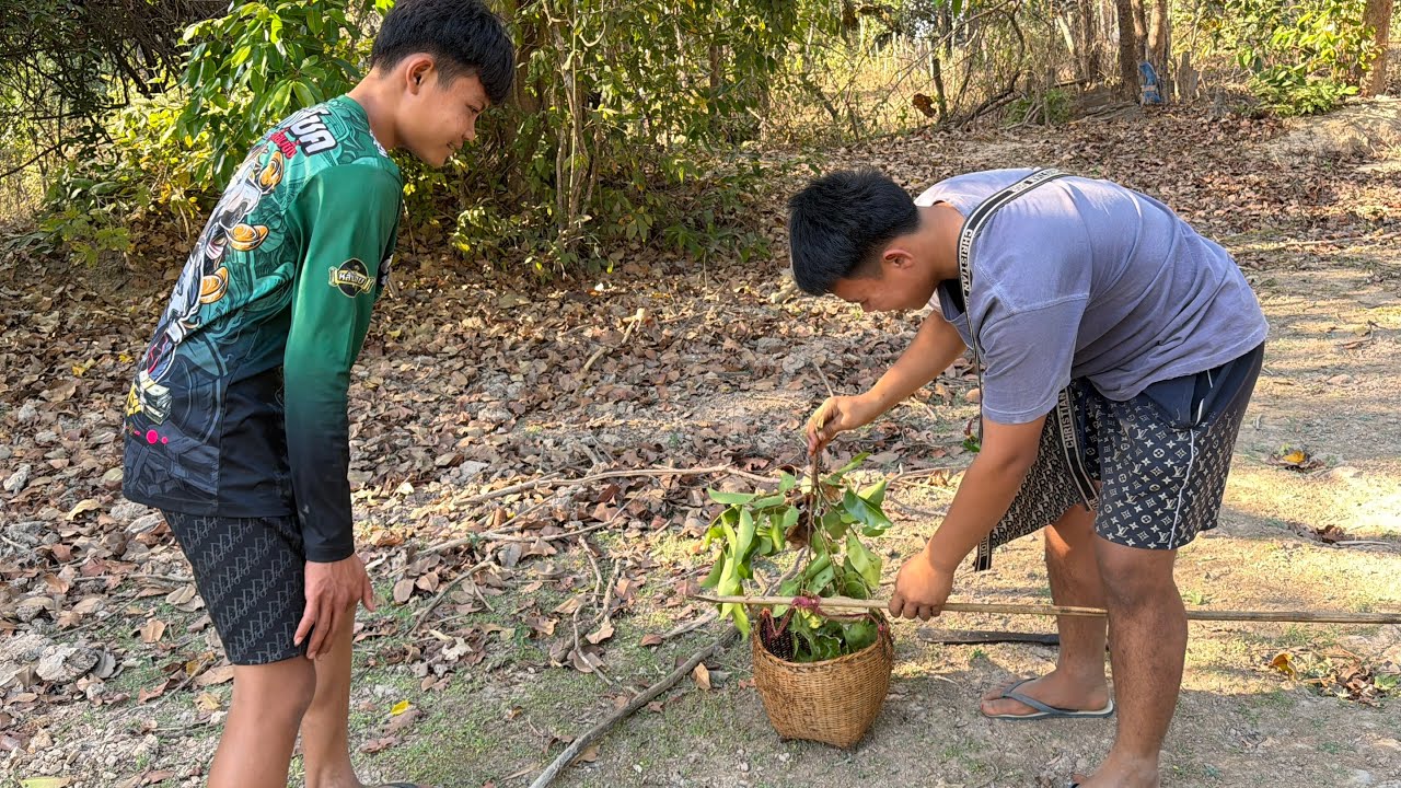แหย่ไข่มดแดง ครั้งแรกของปี มีทั้งไข่ใหญ่ไข่น้อย ม่วนๆพี่น้อง