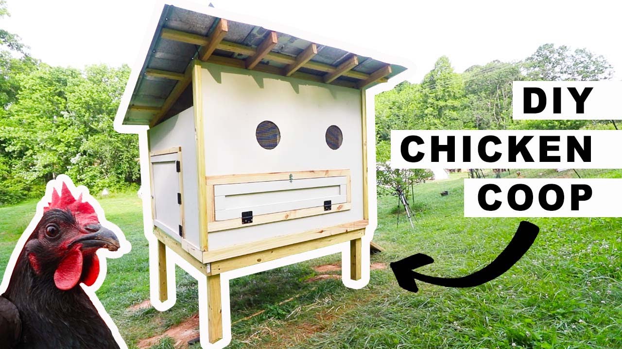 DIY Chicken Coop for 25 Chickens// How to Build 🐓