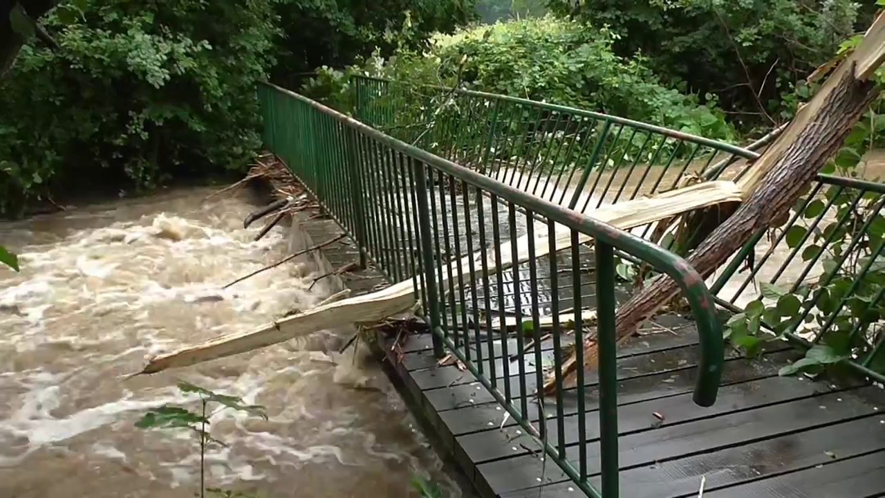 Hochwasser Vienenburg am 26.07.2017 (Radau und Oker)