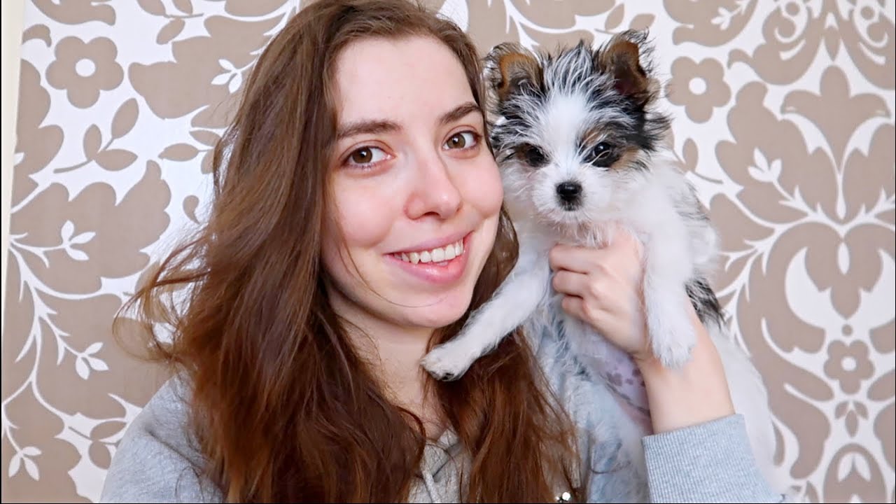 ZMIANY ‼️ JAK WYGLĄDA PANDA 🐼 OBCIĘŁAM WŁOSY ✂️ VLOG