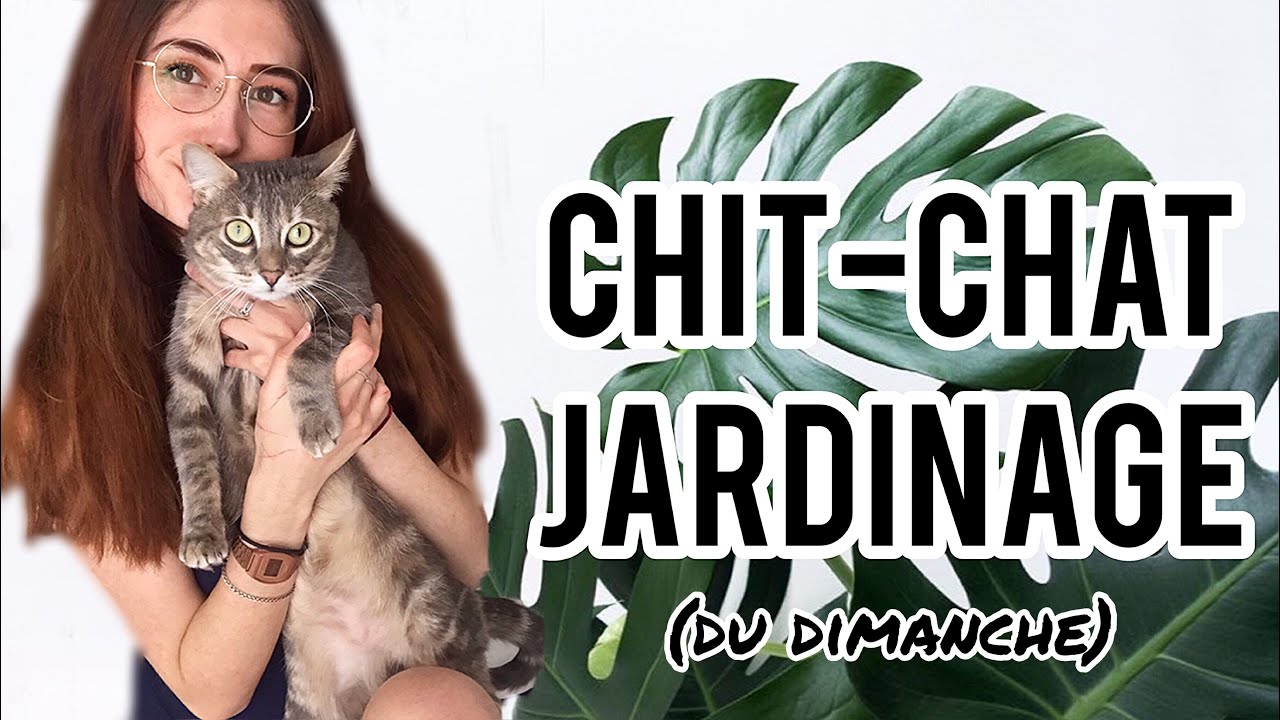 UNBOXING DE BÉBÉS PLANTES