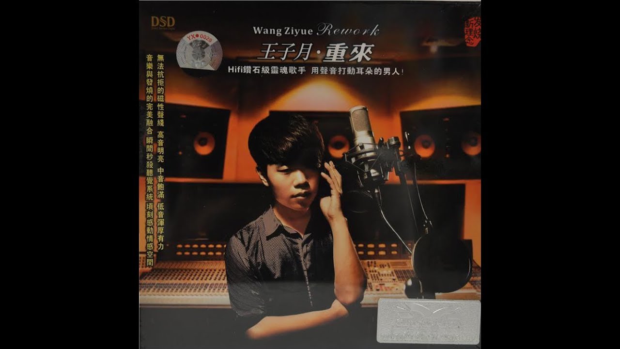 雪中情 - The snow feeling - 王子月 - Wang Zi Yue