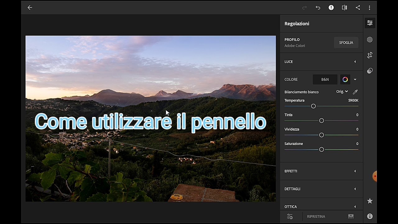 Corso Di Base gratuito di Lightroom come utilizzare il pennello in Lightroom #:8 puntata ( like)💼💻