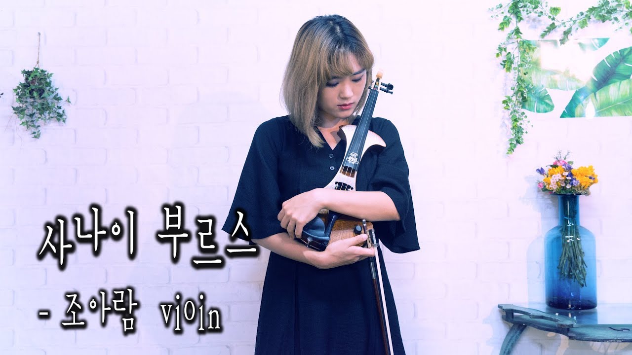 사나이부르스 - 조아람 전자바이올린(Jo A Ram violin cover)