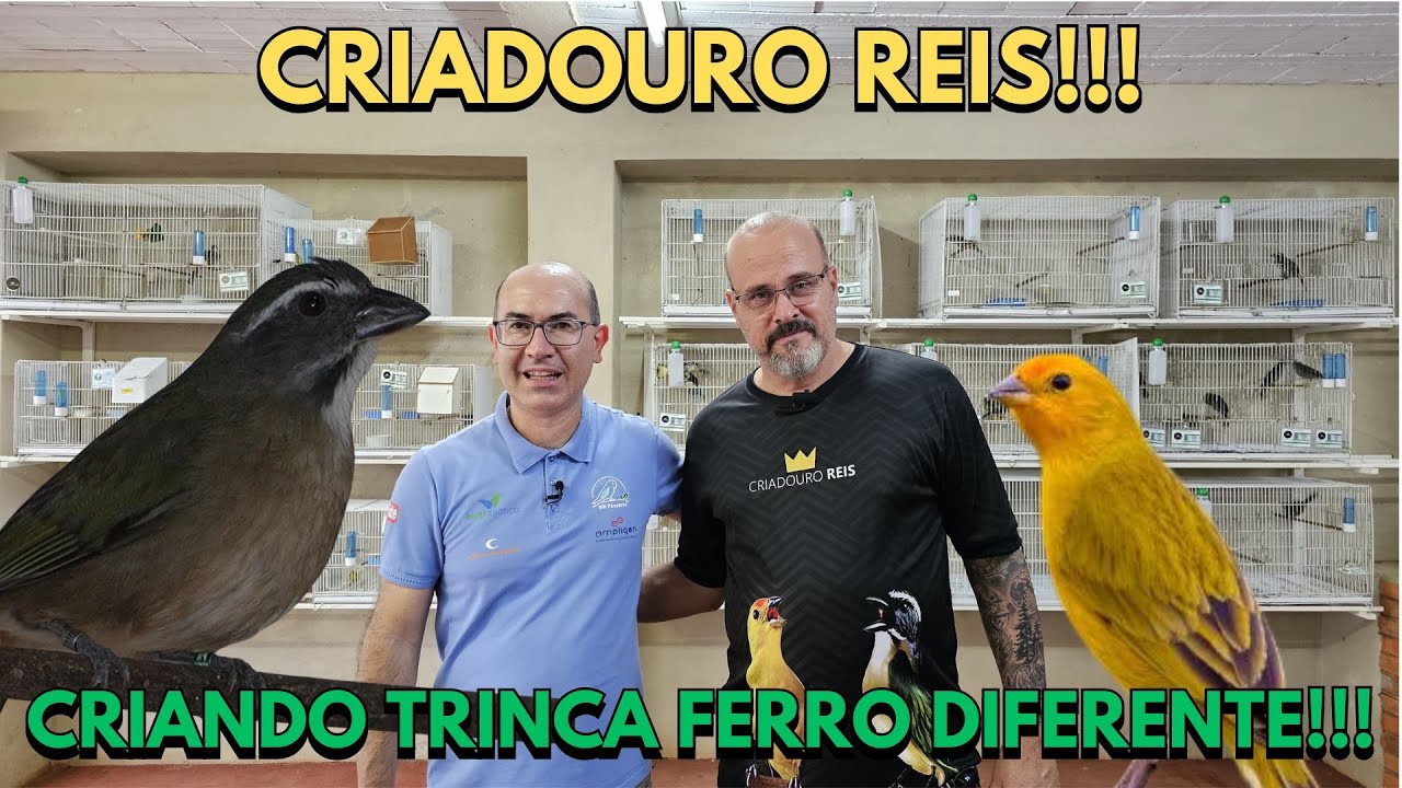 UM JEITO DIFERENTE DE CRIAR TRINCA FERRO NO CRIADOURO REIS!!!