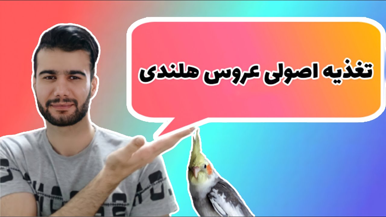 تغذیه عروس هلندی : اصولی ترین روش تغذیه به صورت طبیعی برای عروس هلندی