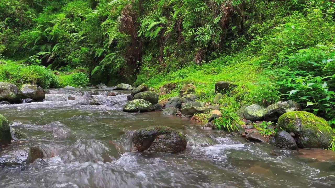 Shallow River Flow – Soothing Nature Sounds for Meditation