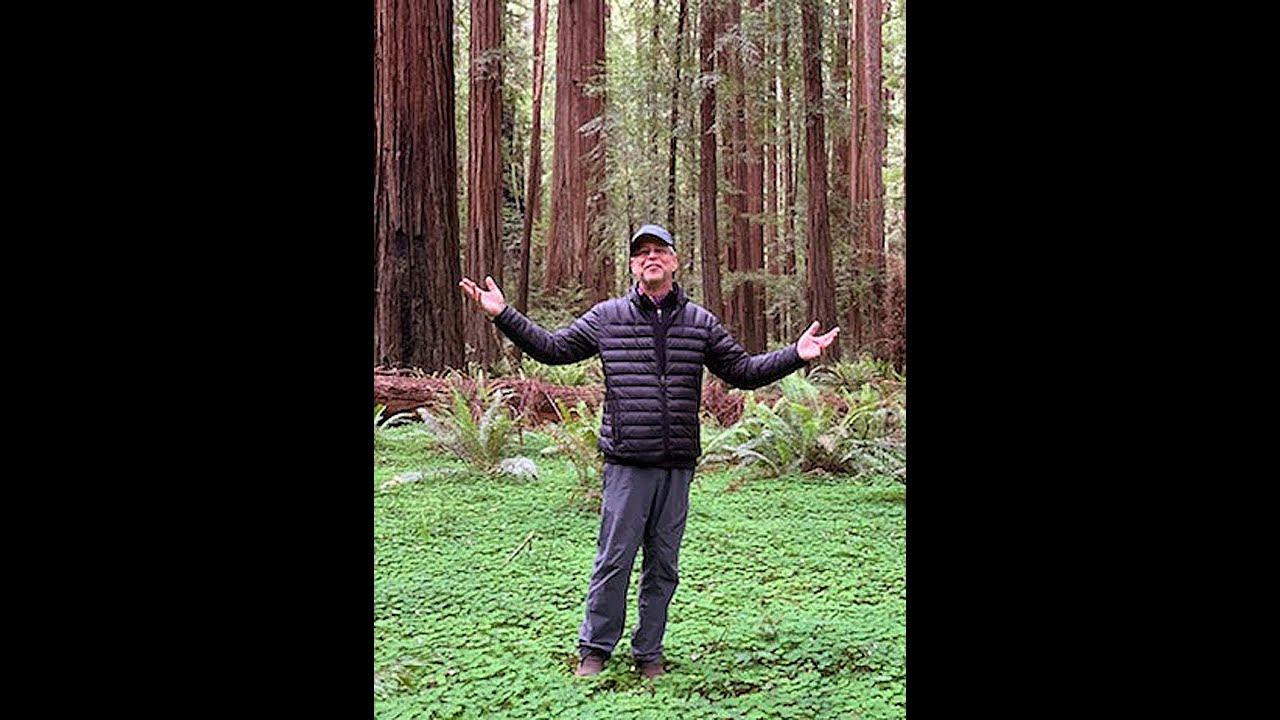 The Best Explanation of Enlightenment, Ever: WHAT IS