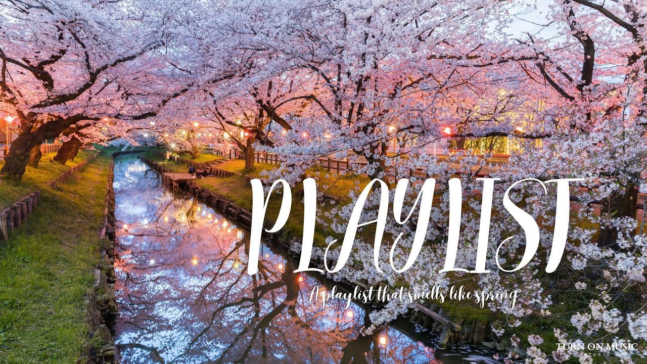 ᴘʟᴀʏʟɪꜱᴛ | 🌸따뜻한 봄날 어울리는 감성 팝송 플리🎶 잔잔한 어쿠스틱 & 로맨틱 팝 l Soft & Romantic Pop for Work(중간광고없음, 2시간 연속재생)