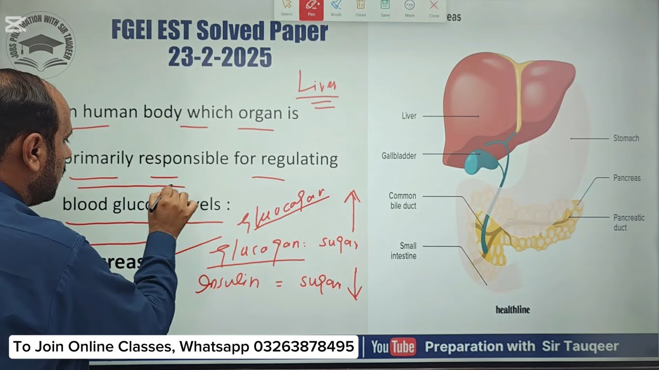 FGEI EST 23-02-2025 Solved Paper Elementary School Teacher | PPSC FPSC GK MCQs Preparation