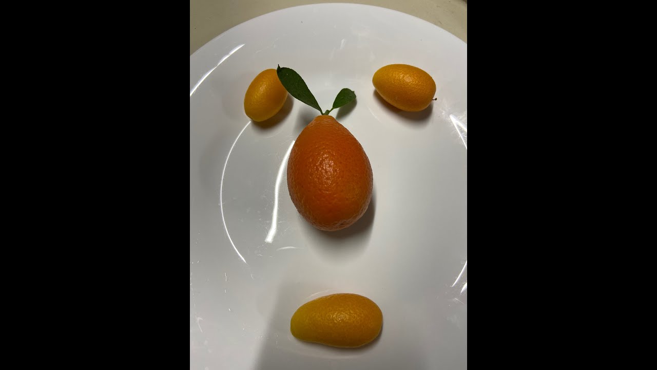 Нордманн  (Nordmann Seedless Nagami kumquat) Кумкват 